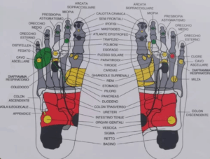 mappa riflessologia plantare